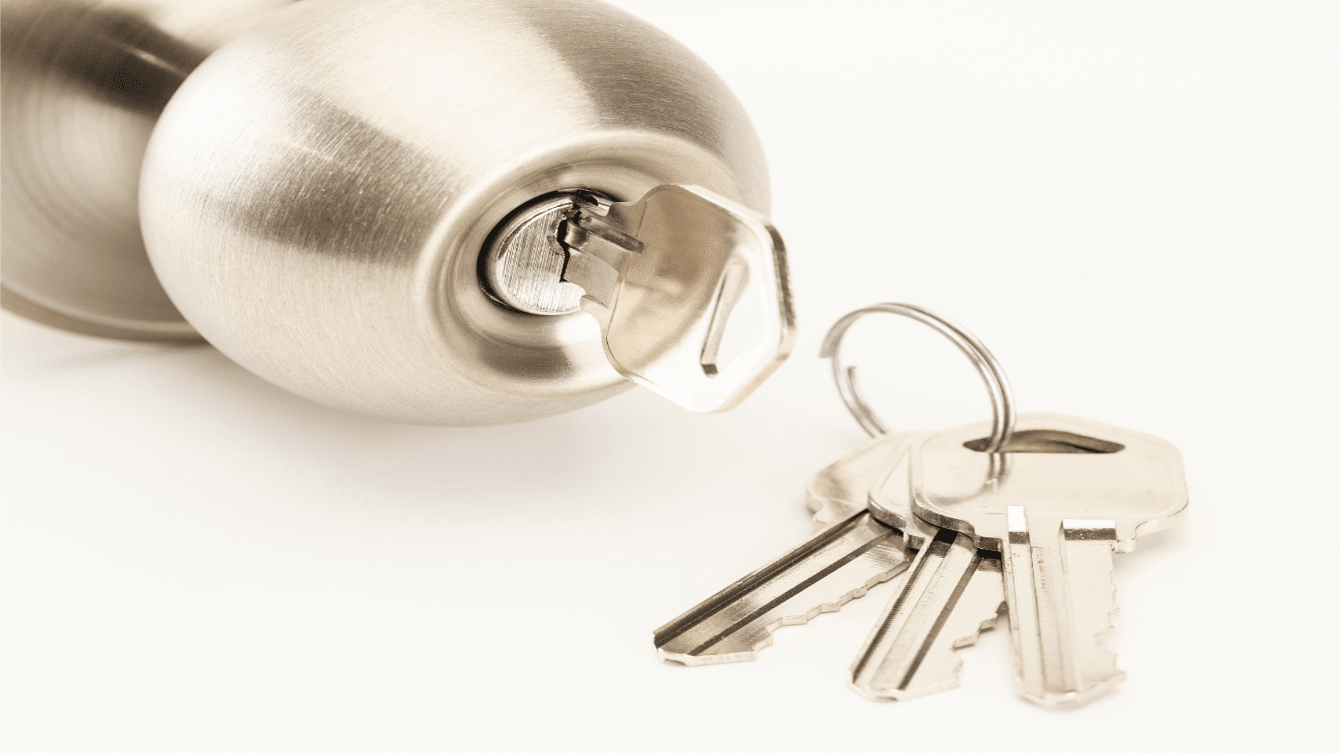 A lock installed by a Lincoln Park commercial locksmith.