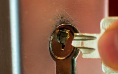 Key Extraction Services: DIY vs. Professional